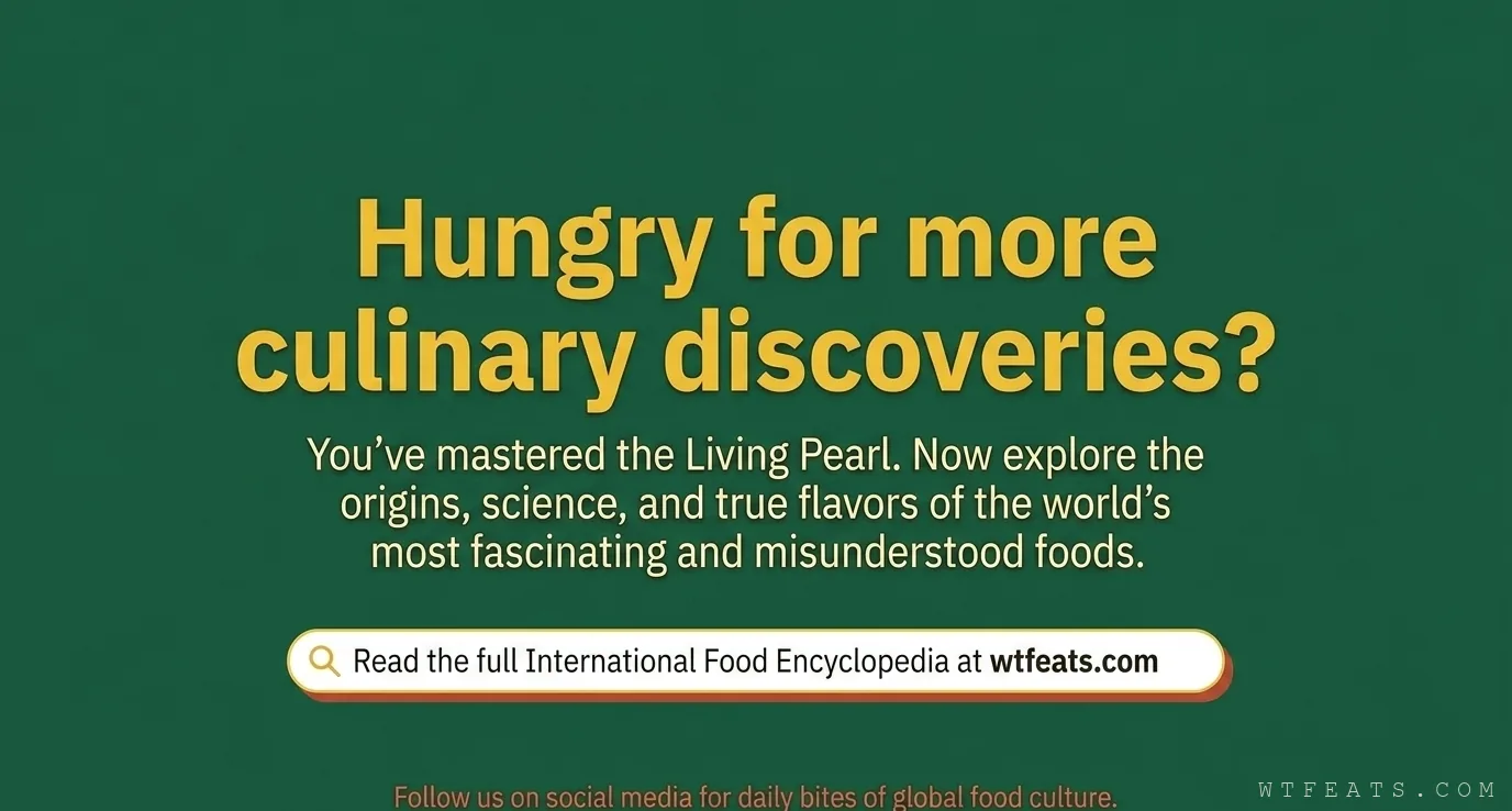 Hungry for more culinary discoveries: the wtfeats.com outro slide