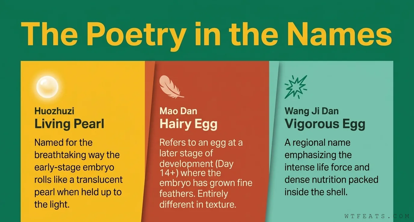 The poetry in the names: huozhuzi the living pearl, mao dan the hairy egg, wang ji dan the vigorous egg