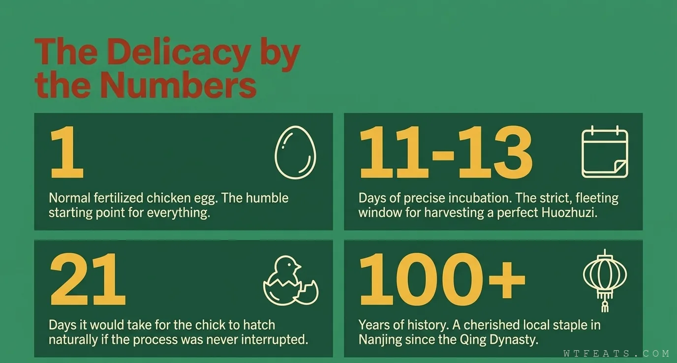 The delicacy by the numbers: 1 egg, 11 to 13 days, 21 days to hatch, over 100 years of history